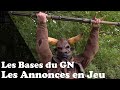 Les bases du gn les annonces