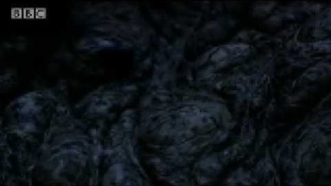 Amazing aestivation: Mugger Crocodile - King Croc - BBC Animals