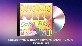 Carlos Pitta & Banda Mistura Brasil Vol. 1 - Dançando Forró - FORRODASANTIGAS.COM