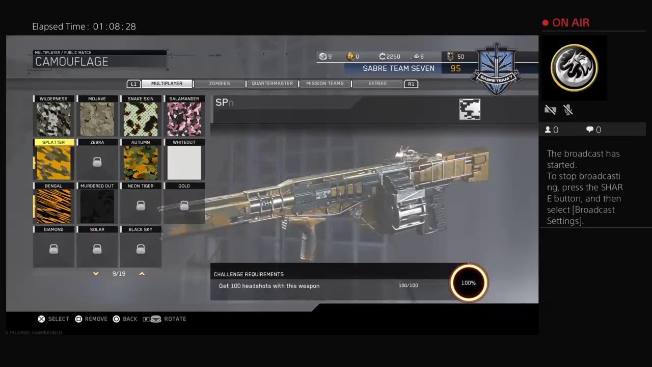 Cod iw road to mp 16 and diamond lmgs