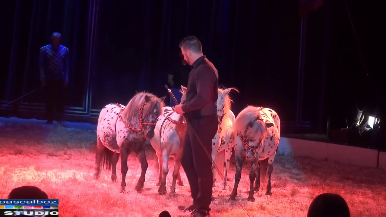 CIRCUS SHOW Renz International 2016 Hoogerheide #pascalboz  #circus #RENZ