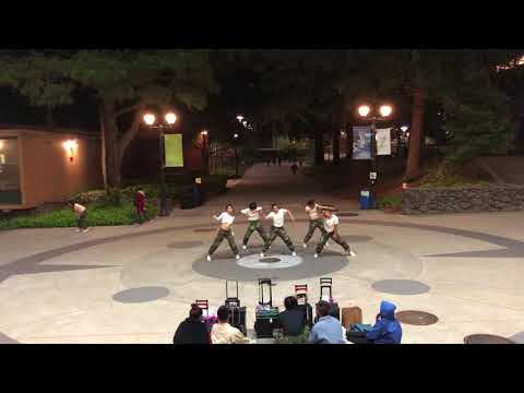 BDC Showcase Spring