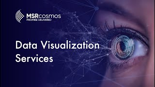 Data Visualization Services | MSRcosmos LLC