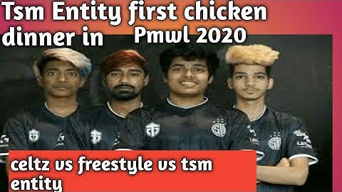 Tsm entity first chicken dinner in pmwl 2020 celtz vs tsm entity vs freestyle last circle