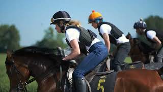 Janów Podlaski Stud Farm - Forged In Tradition - Promo Video