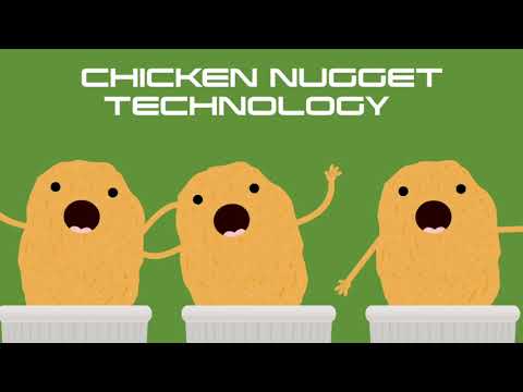 Video: Roli I Të Ushqyerit Në Lipidozën Hepatike - Ushqimi Nuggets Cat