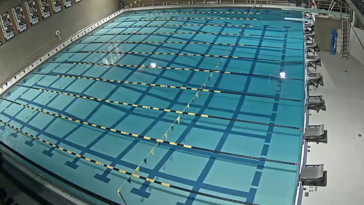 Gustavus Swim & Dive vs. UWStevens Point and MSUMankato YouTube