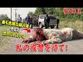 マフィアは自分たちが最も危険な殺人鬼を拷問していることに気づいていなかった。これは私の人生を邪魔した復讐だ