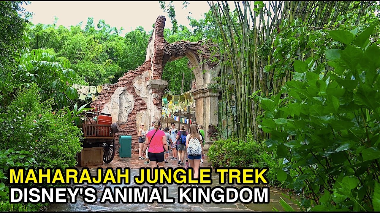 roller coaster deaths [4K] Maharahah Jungle Trek - SE Asia Walking Tour : Animal Kingdom (Orlando, FL)