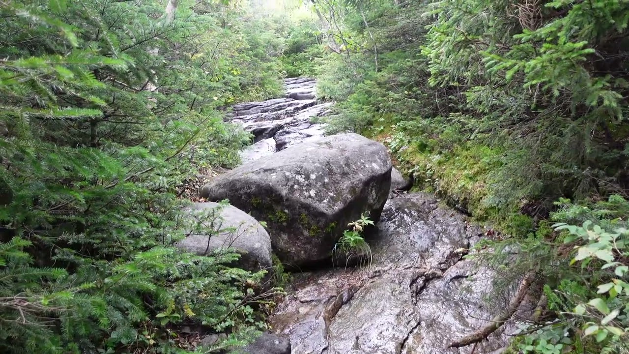 Sublime Snippet - Wright Peak