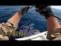 小舟からタコベイトを落とすとヤバい...コレ竿折れるやつやん...