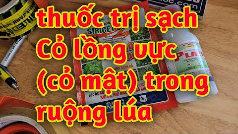 hd102. thuốc đặc trị-cỏ mật-Cỏ lồng vực trong ruộng lúa