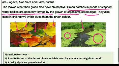 Class 7 science worksheet 16 English medium 9/9/2021@SmartlearningScience