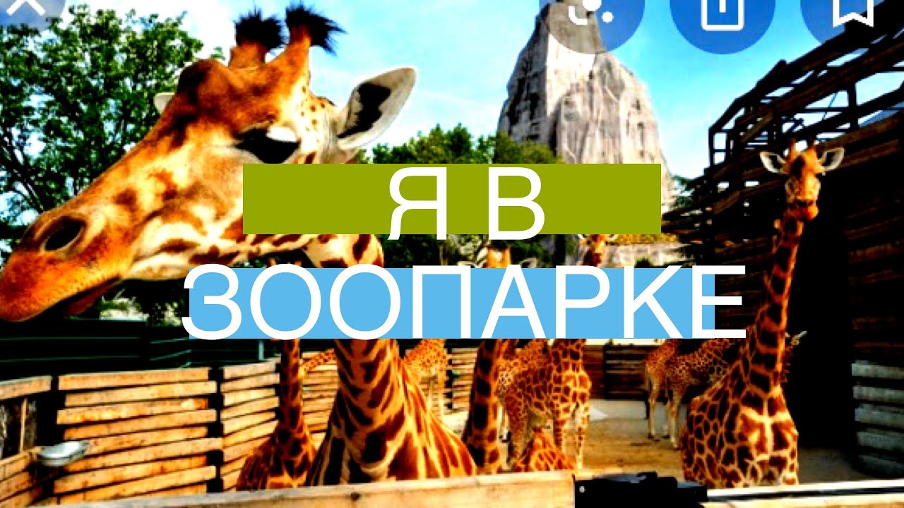 Я с классом в зоопарке - YouTube