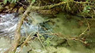 Flowform® figure8 - 5 metres equates to 50 metres of dynamic river flow
