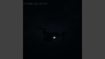 STUPID ASS BITCH (feat. Permisuas)
