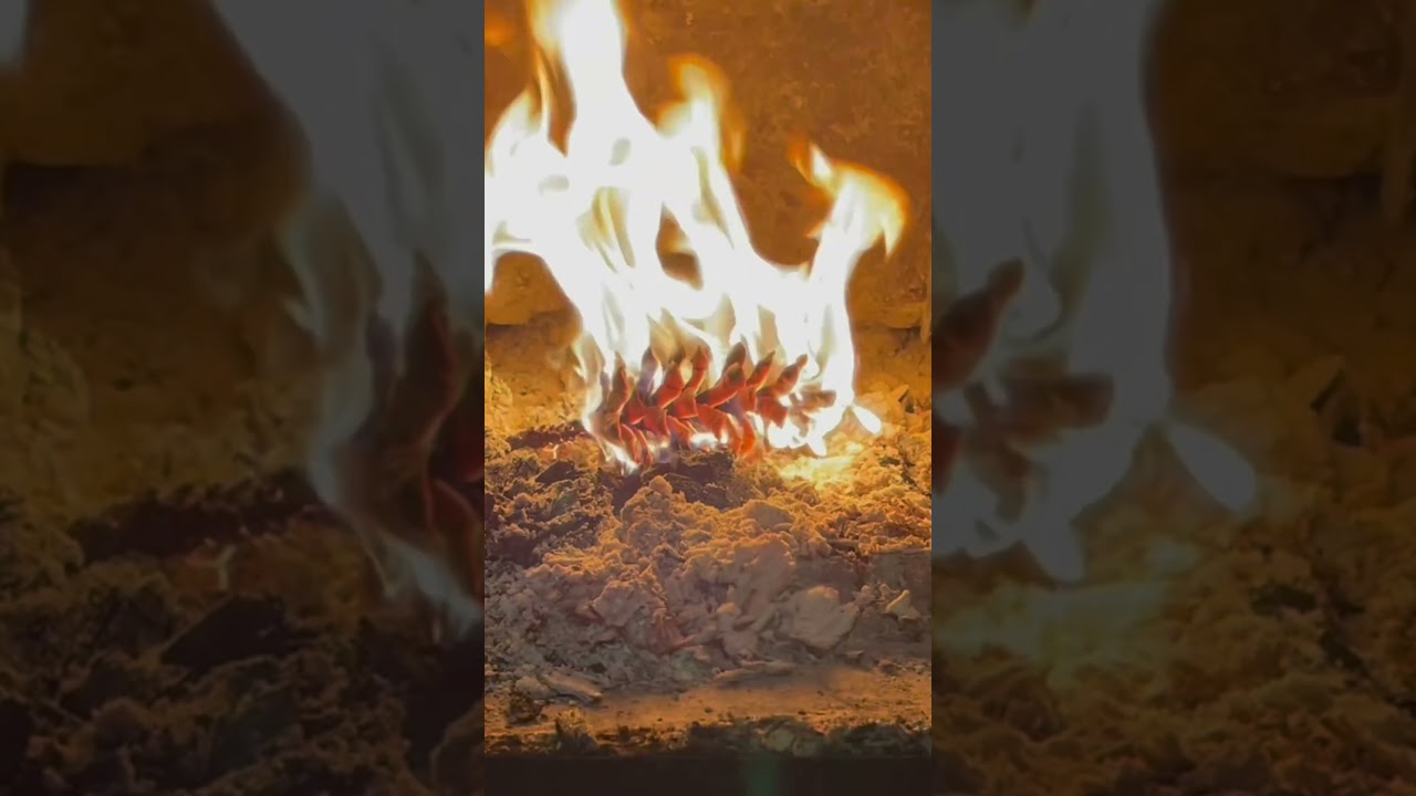 Pinecones are better than fat wood!!! 