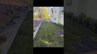 #sod #installation #process