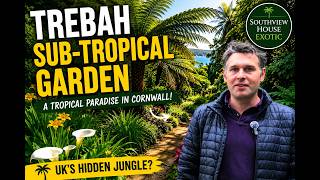 Plant Lover’s Dream! Walking Around Trebah Sub-Tropical Garden