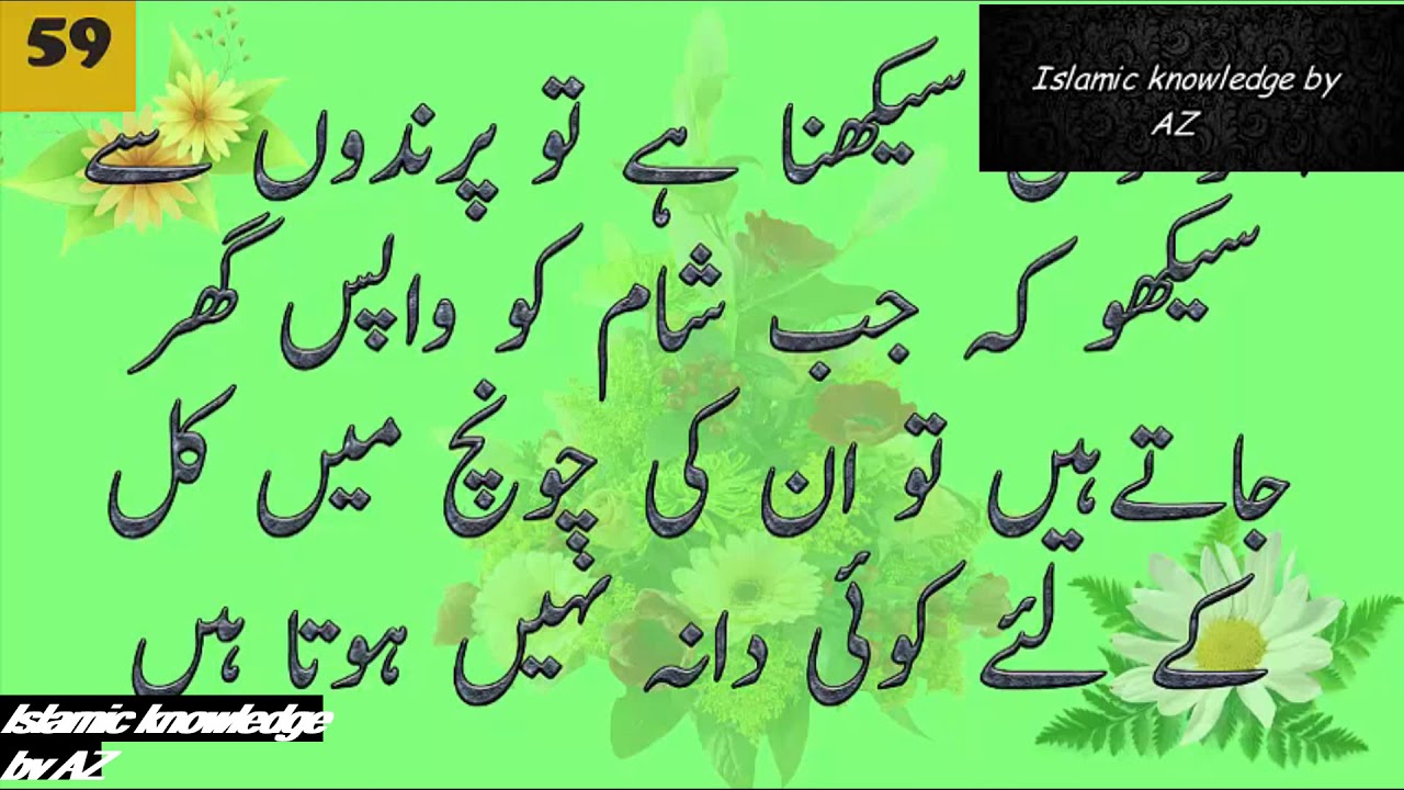 Hazrat Ali A S Ke Aqwal Youtube