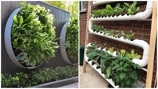 Beautiful vertical garden ideas! 50 examples to implement on your garden plot!