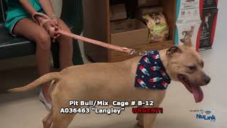 AdoptAPet Show 20180604