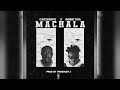 Machala  carterefe ft wizkid official audio