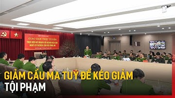Giảm cầu ma túy để kéo giảm tội phạm | Bản tin 141
