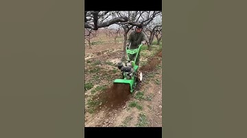 Máy xới đất, băm cỏ động cơ dầu 173F 178F liên hệ 0948.456.680 #automobile #edms #beach