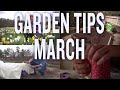March Garden Tips and Projects: P. Allen Smith (2019)