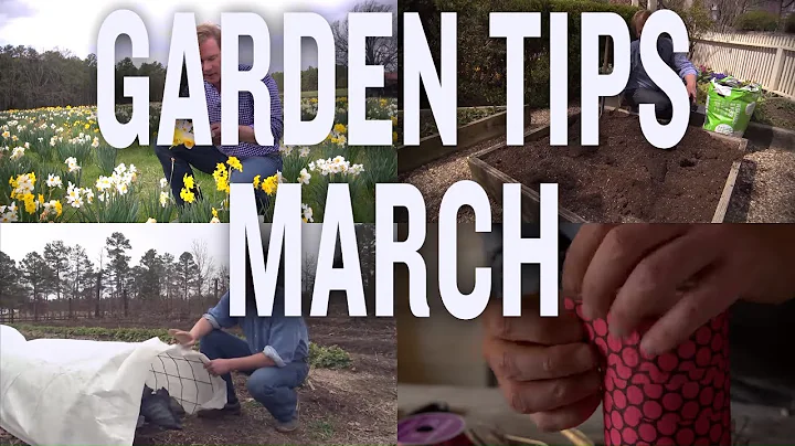 March Garden Tips and Projects: P. Allen Smith (20...
