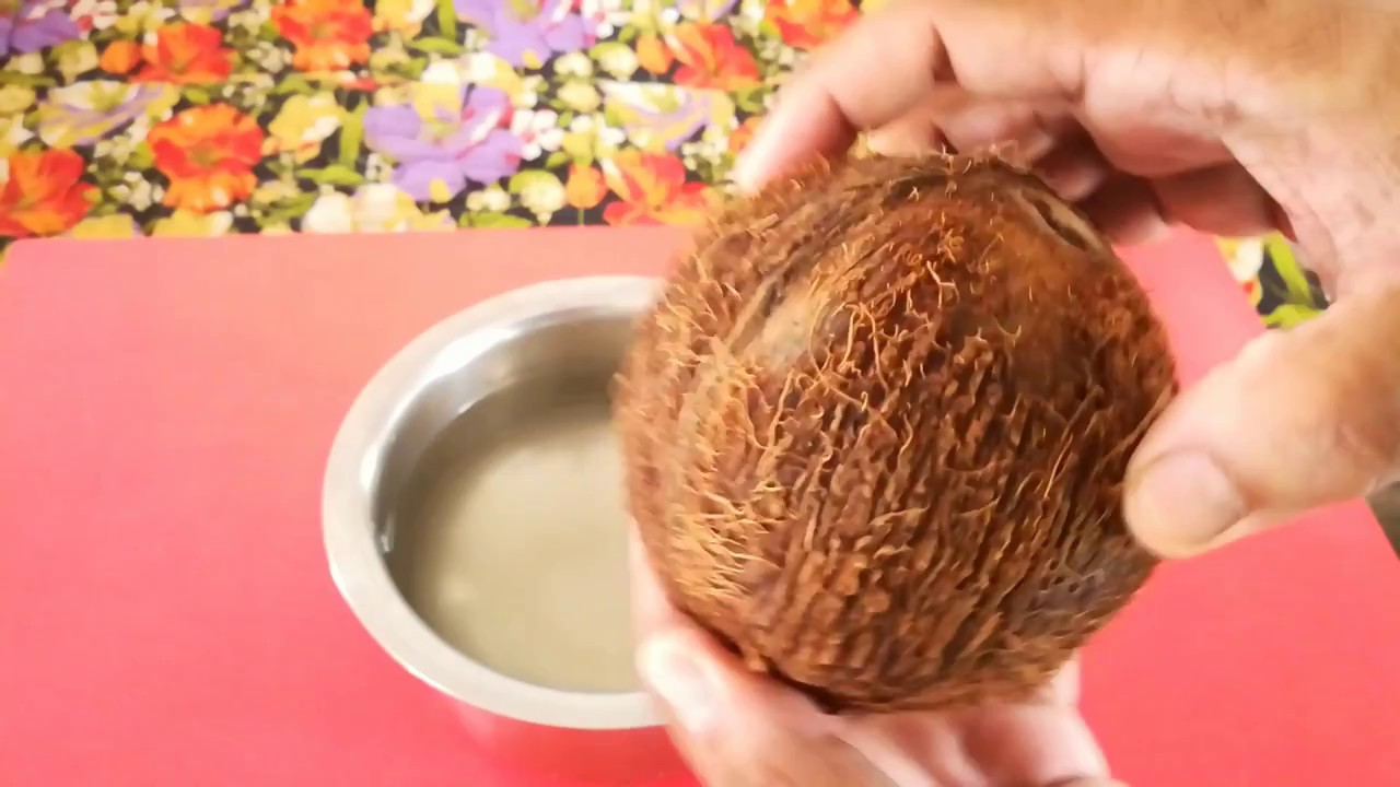 Download Simple and Easy Way to remove Coconut Flesh from Shell