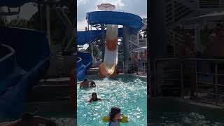 Tobogane Acvatice Pentru Un Plus De Distracție
