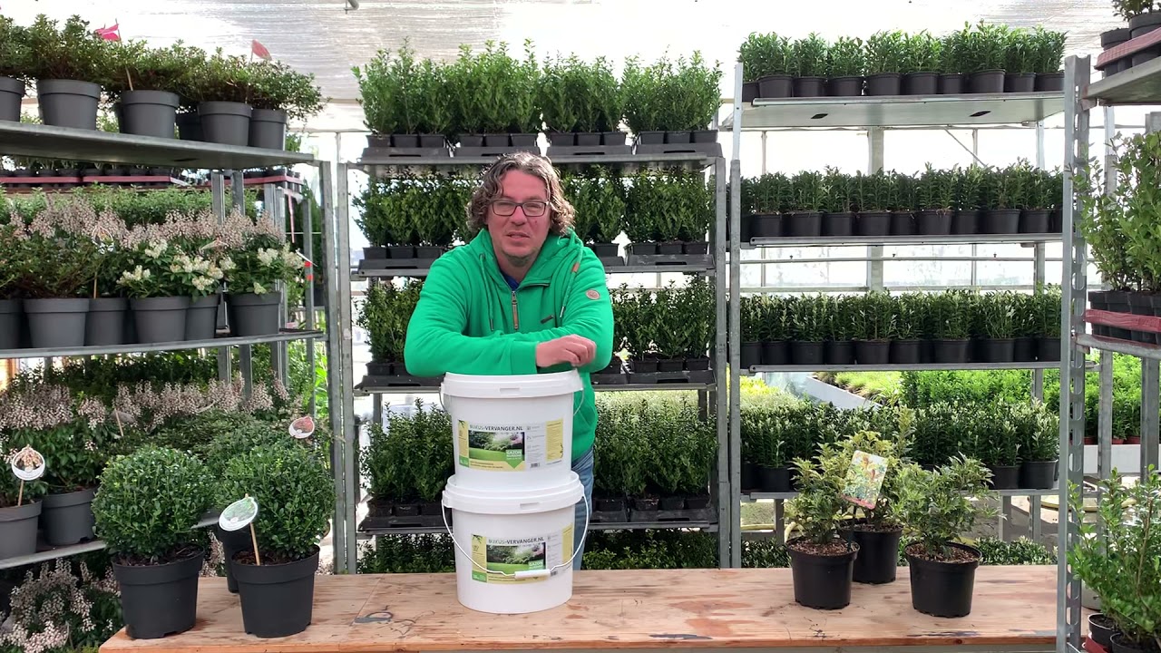 Gazonmest allround voeding voor uw gras!