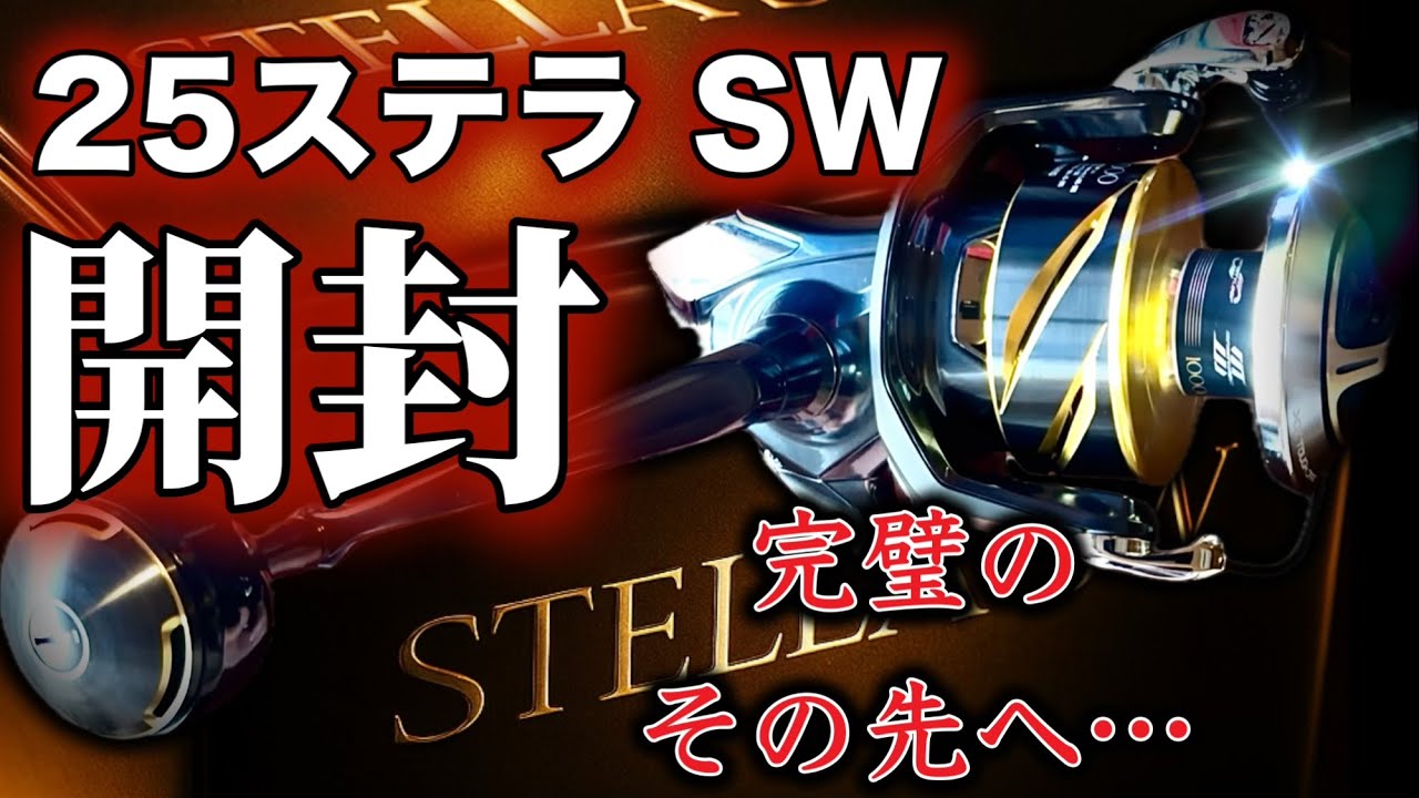 25ステラSW開封!!〜完全無欠の最強リール降臨〜完璧のその先へ……【STELLA SW】