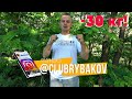 Как я похудел на 30 кг при этом кушаючи все подряд!