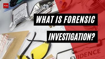 From Crime Scenes to Computers: The Broad Spectrum of Forensics