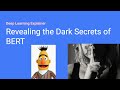 Revealing Dark Secrets of BERT (Analysis of BERT&#39;s Attention Heads) - Paper Explained