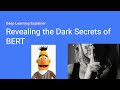 Revealing Dark Secrets of BERT (Analysis of BERT's Attention Heads) - Paper Explained