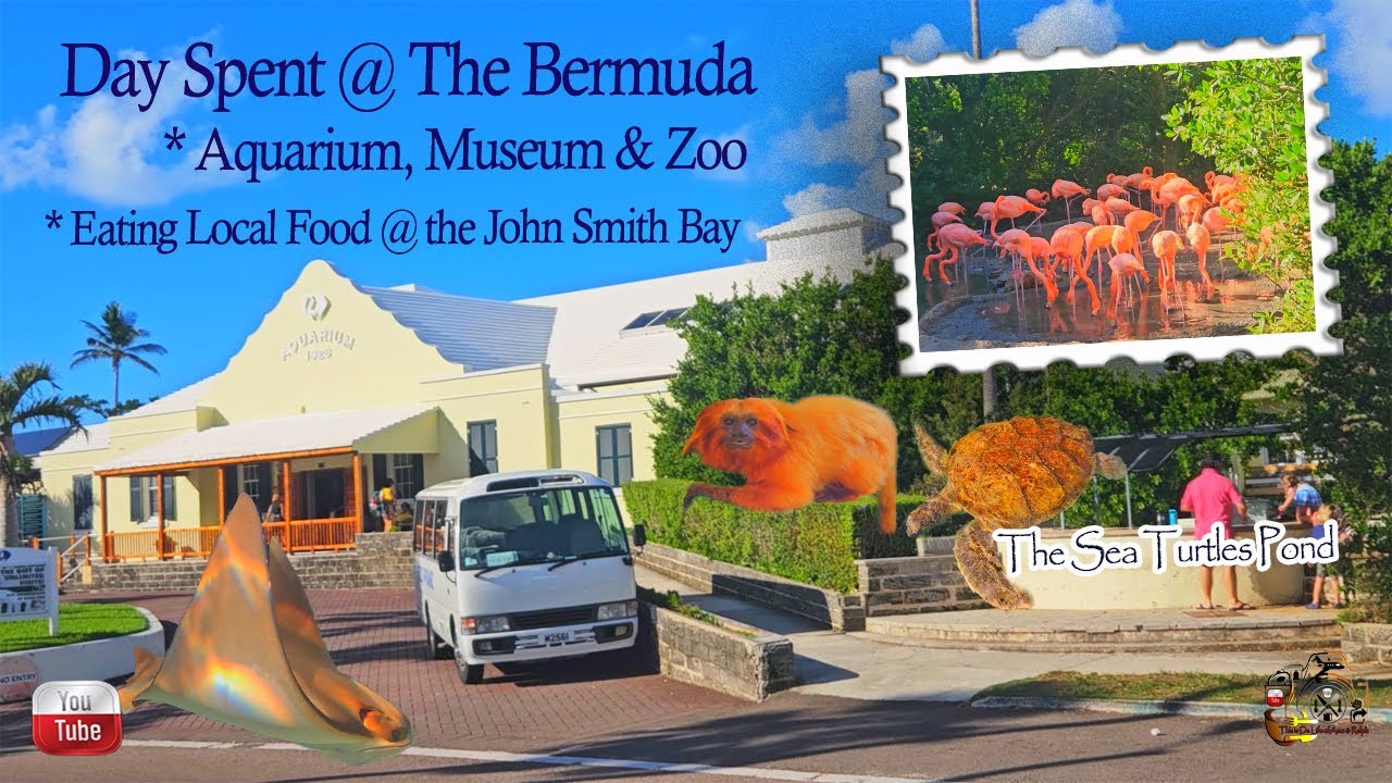 Аквариум, музей и зоопарк Бермудских островов