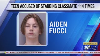 Teen Accused of Stabbing Classmate 114 times