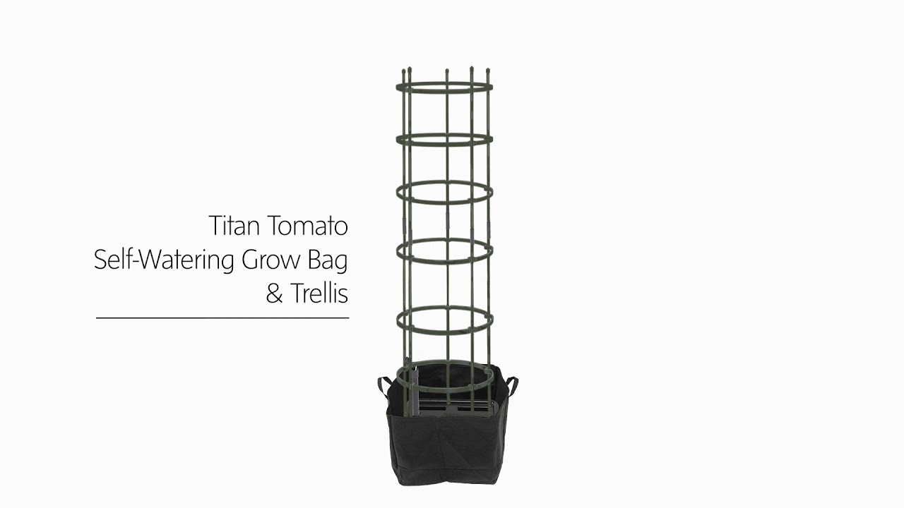 Titan Tomato SelfWatering Grow Bag and Trellis YouTube