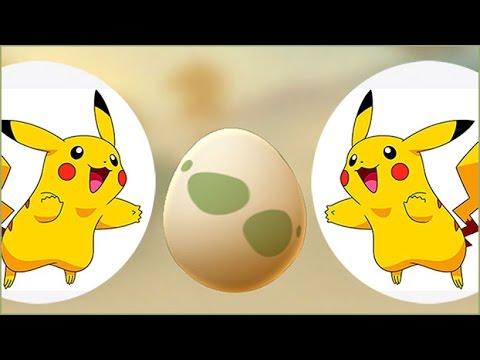 Pokemon Go Пикачу Pikachu вылупился из яйца