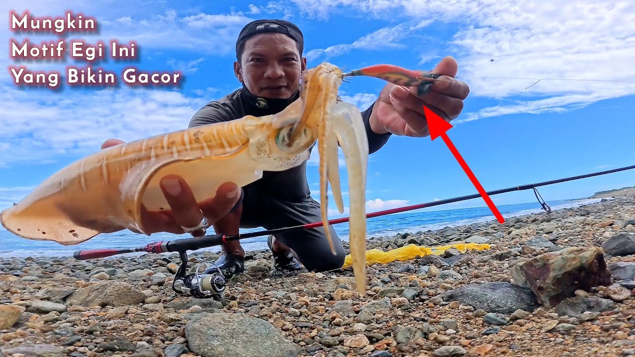 NGERIII...!!! CUMI BABON NGAMUK...!!! Di karang dangkal || Mancing cumi ngoyor di pinggiran laut