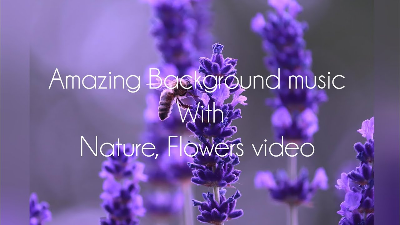 Relaxing Background music for Chill Your Mood|Beautiful video with piano music|