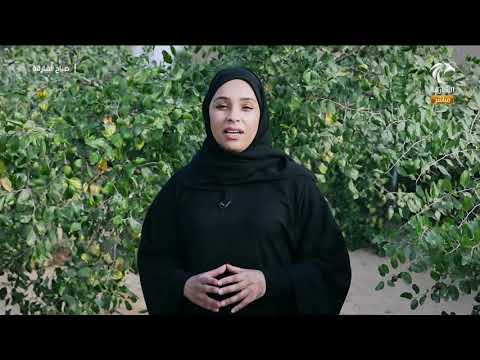 برنامج صباح الشارقة فقرة عالم النباتات الزراعة العضوية