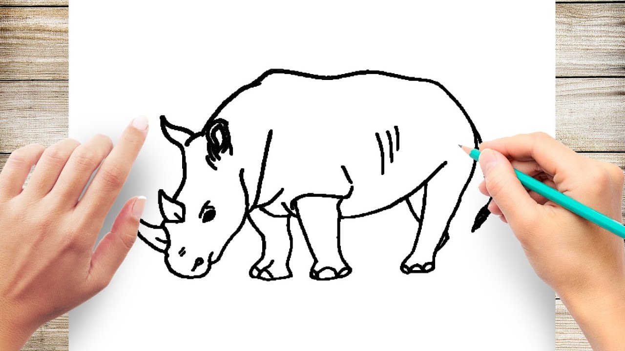 Featured image of post Cartoon Rhino Drawing For Kids - This activity is short and simple.