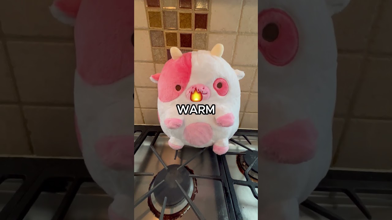 Warm cow to give you some warm hugs🤗 #squishy #cows #cuteanimals #giftideas #adorable #plushies