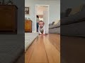 cute #viral #trending #short