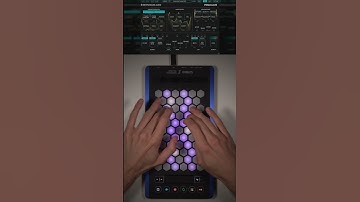 Exquis - @NewfangledAudio Pendulate "Resonant Cruiser" #plugin #vst #midi #synth #mpe #keyboard